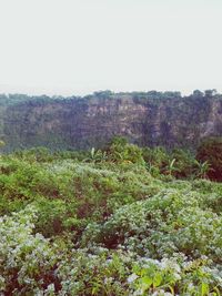 Scenic shot of green landscape against clear sky