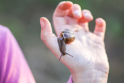 A snail on child hand on the green nature background in countryside