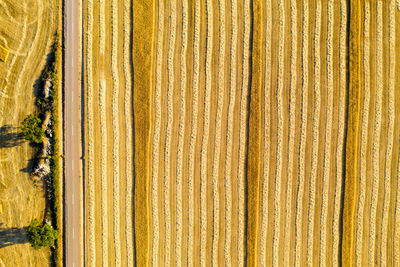 Full frame shot of yellow metal grate