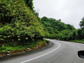 Road amidst trees against sky