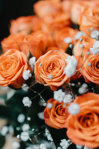 Close-up of rose bouquet