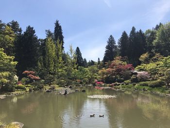 Scenic view of lake in forest against sky