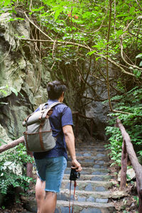 Rear view of man in forest