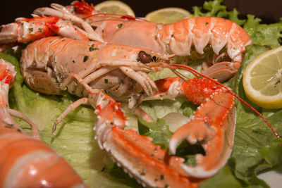 Close-up of fresh fruits in plate