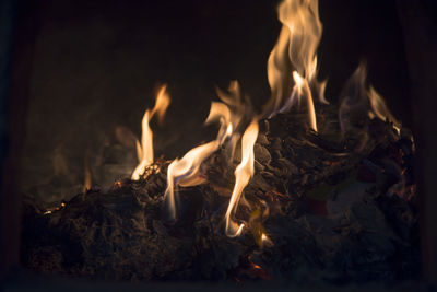 Close-up of fire in the dark