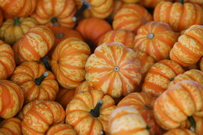 Full frame shot of pumpkins at market stall