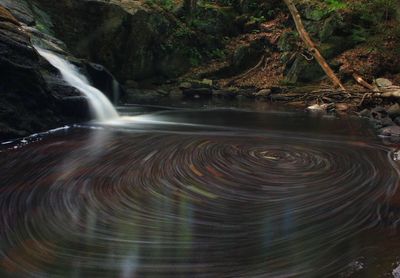 Scenic view of waterfall in forest