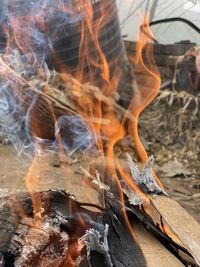 Close-up of fire on log