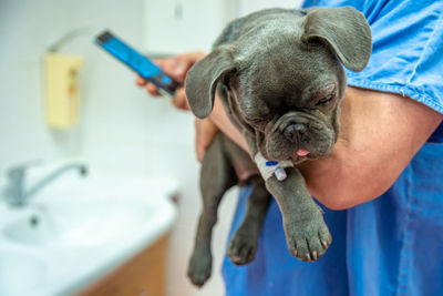 Portrait of young woman with dog in bathroom