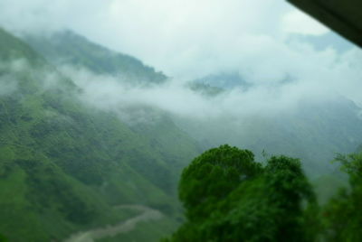 Scenic view of forest against sky