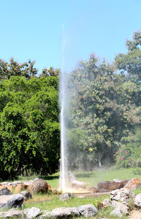 Scenic view of waterfall against trees