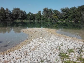 Scenic view of river by trees against sky