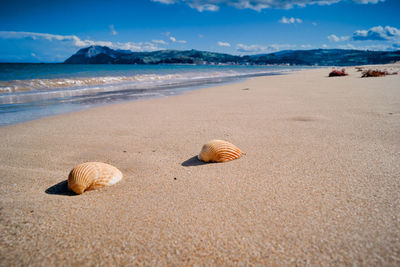 Laredo beach la salve