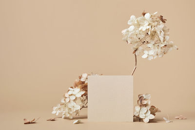 Close-up of white flower vase on table against wall