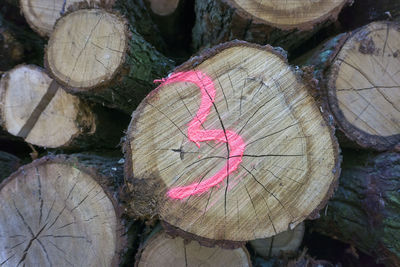 Detail shot of wood logs