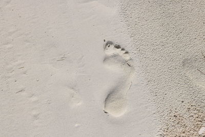 High angle view of footprints on sand
