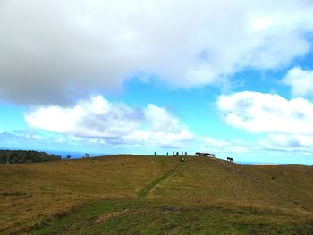 Scenic view of field against sky