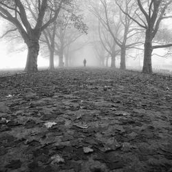 Distant view of man standing on road amidst bare trees in forest during foggy weather