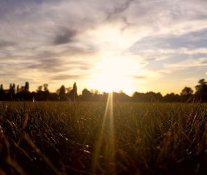 Scenic view of field against sky during sunset