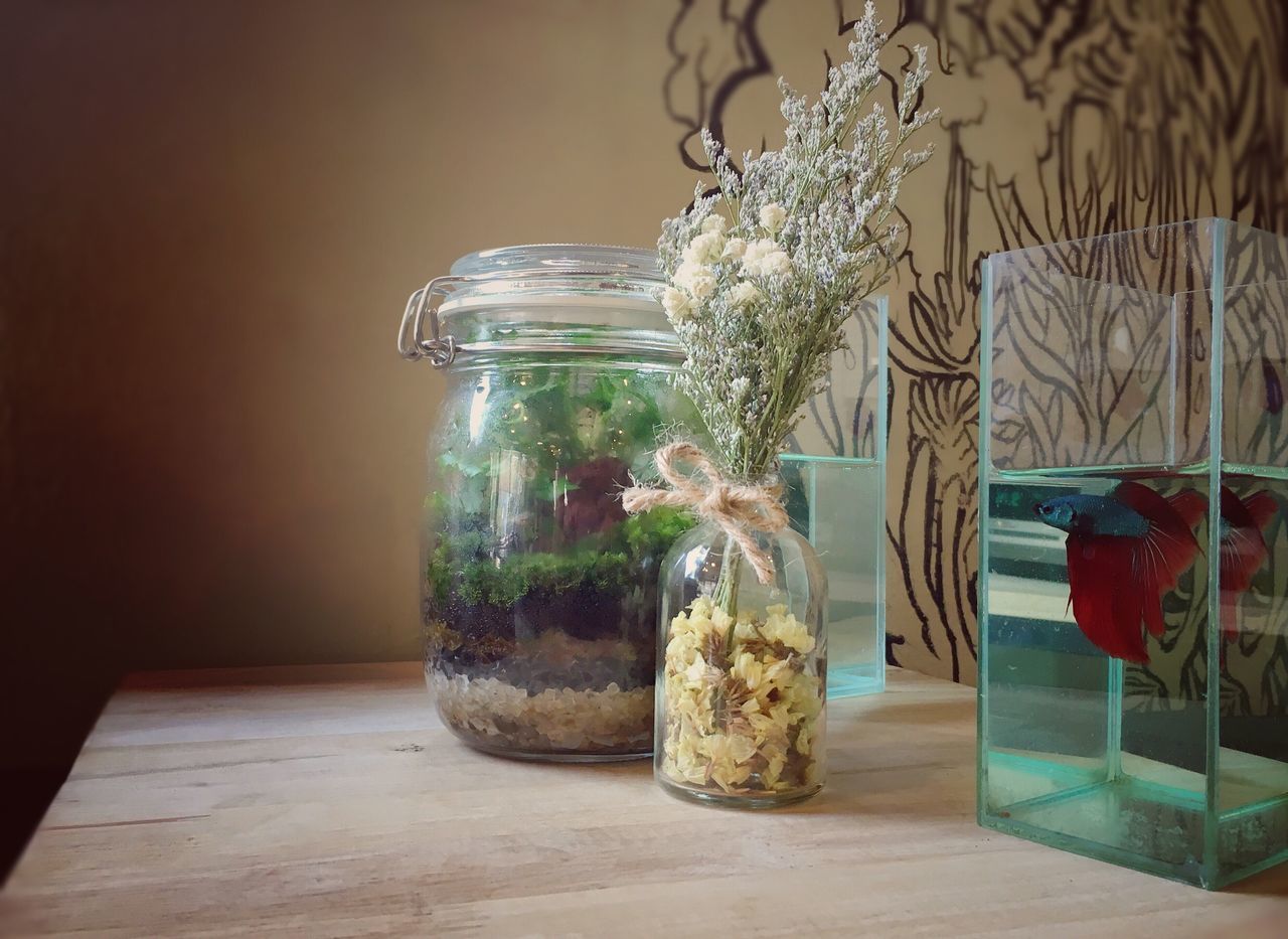 Aquarium on table