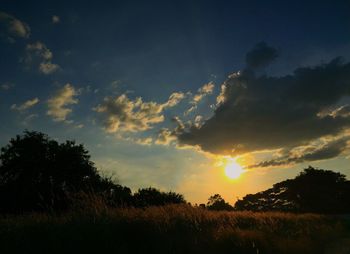 Silhouette trees on field against sky at sunset