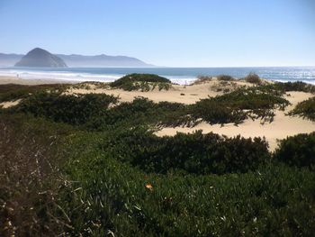 Scenic view of sea against clear sky