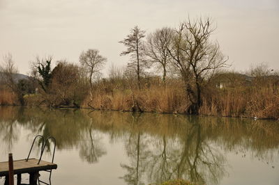 Reflection of trees in lake