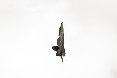 Low angle view of tree over white background