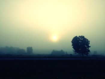 Scenic view of field against sky during sunset