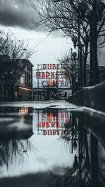 Reflection of bare trees and buildings in water