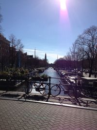 Sun shining through trees