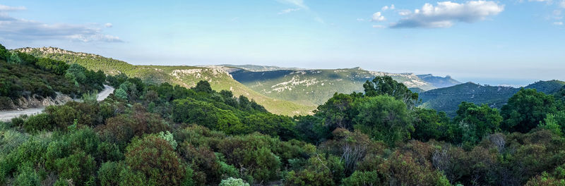 Panoramic view of trees and mountains against sky