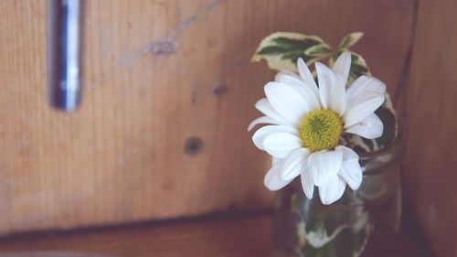 Close-up of flower on table