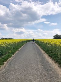 Rear view of person walking on road amidst field against sky