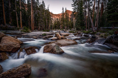 Stream flowing through rocks in forest