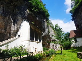 Low angle view of trees and building against sky