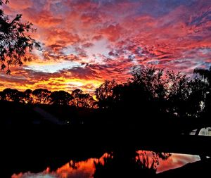 Silhouette trees against dramatic sky during sunset