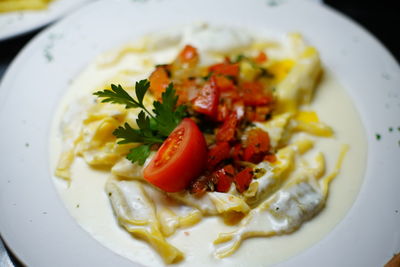 Close-up of meal served in plate