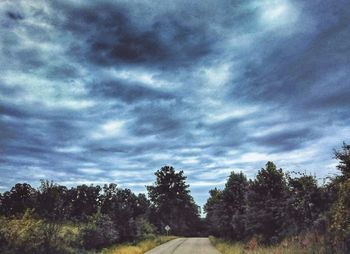 Low angle view of trees on field against sky