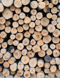 Full frame shot of logs