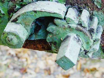 Close-up of rusty metal