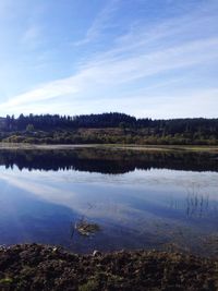 Reflection of trees in calm lake