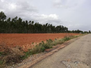 Scenic view of field against sky