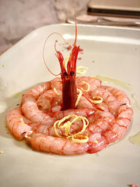 shrimp
