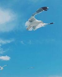 flying