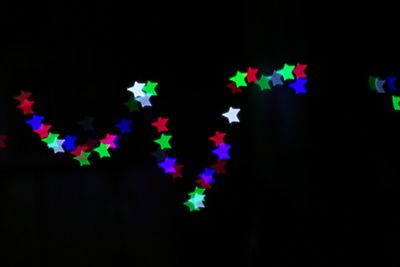 Low angle view of multi colored leaves against black background