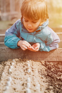 Spring planting seeding farm garden. little kid boy farmer gardener plants sow vegetable seeds soil