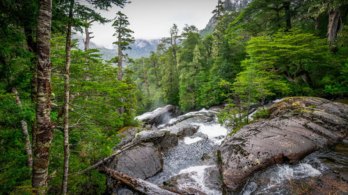 View of stream flowing through rocks