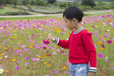 Boy touching flowering plants while standing on field