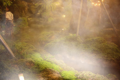 Panoramic view of river amidst trees in forest